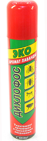 Как и чем можно убить вшей и гнид на голове Как и чем можно убить вшей и гнид на голове