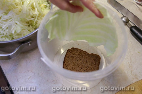 Квашеная капуста с клюквой и яблоками