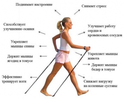 Скандинавская ходьба &ndash; отзывы, техника, противопоказания и выбор снаряжения