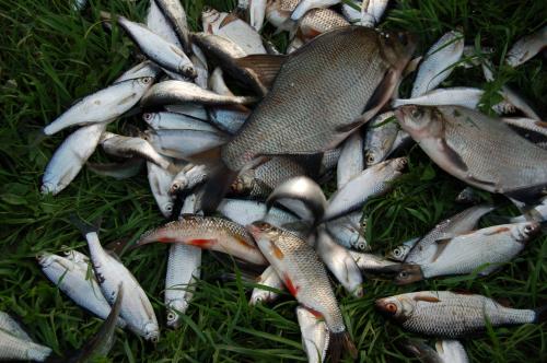 С поплавком на весеннем водохранилище С поплавком на весеннем водохранилище