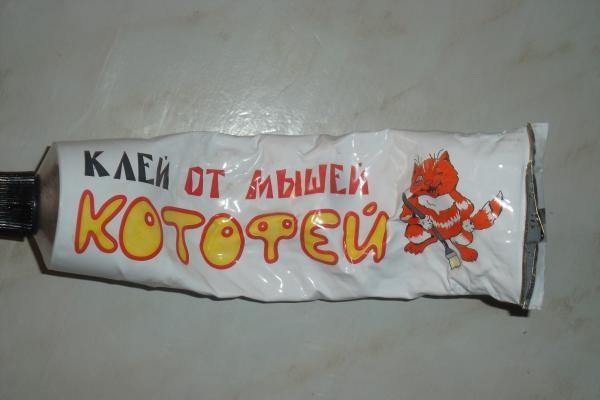 Клей для отлова крыс и мышей: обзор продукции Клей для отлова крыс и мышей: обзор продукции
