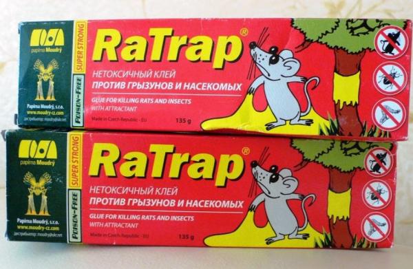 Клей для отлова крыс и мышей: обзор продукции Клей для отлова крыс и мышей: обзор продукции