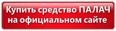 Отзывы о средстве Палач Super от клопов, тараканов, блох и муравьев Отзывы о средстве Палач Super от клопов, тараканов, блох и муравьев