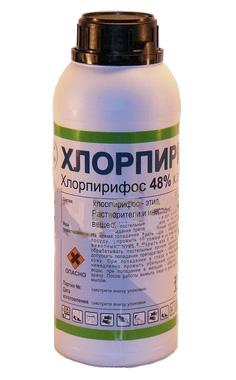 Как можно убить постельных клопов, а также их яйца Как можно убить постельных клопов, а также их яйца
