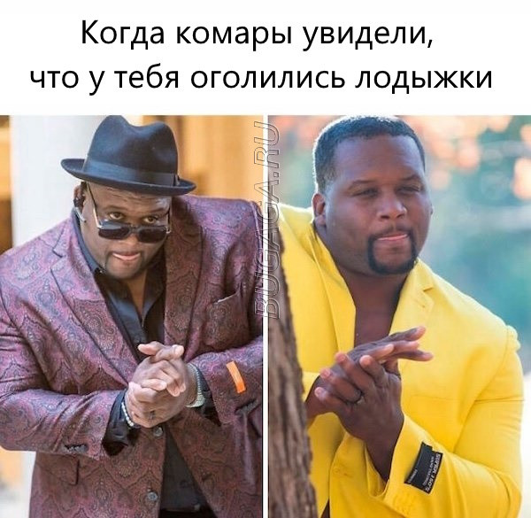 Мемы, шутки и приколы про лето, ах, лето… (16 фото) Мемы, шутки и приколы про лето, ах, лето… (16 фото)