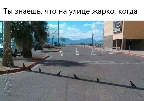 Мемы, шутки и приколы про лето, ах, лето… (16 фото) Мемы, шутки и приколы про лето, ах, лето… (16 фото)