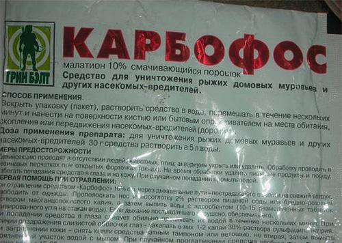 Где можно купить Карбофос от клопов и какая у него цена Где можно купить Карбофос от клопов и какая у него цена