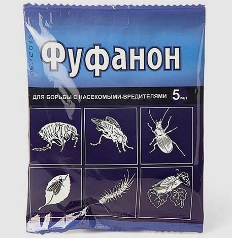 Где можно купить Карбофос от клопов и какая у него цена Где можно купить Карбофос от клопов и какая у него цена