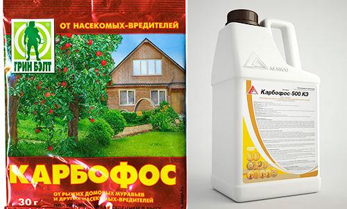 Где можно купить Карбофос от клопов и какая у него цена Где можно купить Карбофос от клопов и какая у него цена