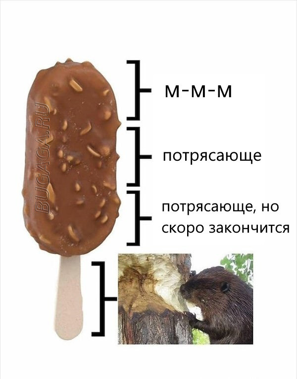 Мемы, шутки и приколы про лето, ах, лето… (16 фото) Мемы, шутки и приколы про лето, ах, лето… (16 фото)