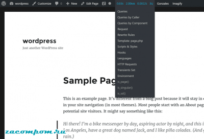 Query Monitor — отладка WordPress и повышение производительности сайта Query Monitor — отладка WordPress и повышение производительности сайта