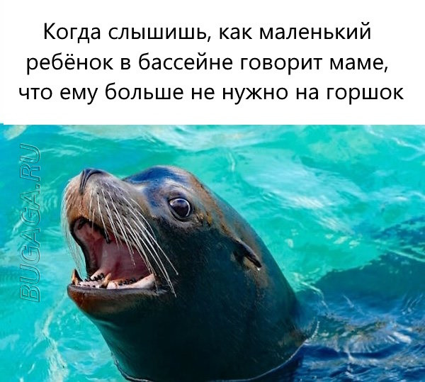 Мемы, шутки и приколы про лето, ах, лето… (16 фото) Мемы, шутки и приколы про лето, ах, лето… (16 фото)