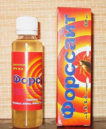 Отзывы о применении средства от клопов Форсайт Отзывы о применении средства от клопов Форсайт