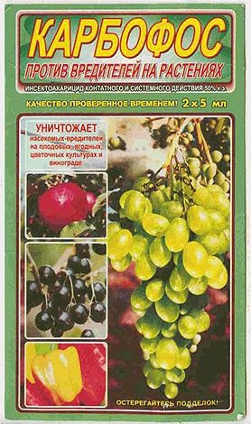 Где можно купить Карбофос от клопов и какая у него цена Где можно купить Карбофос от клопов и какая у него цена