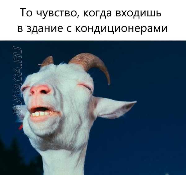 Мемы, шутки и приколы про лето, ах, лето… (16 фото) Мемы, шутки и приколы про лето, ах, лето… (16 фото)