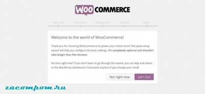 Окончательное руководство по Woocommerce для абсолютных новичков Окончательное руководство по Woocommerce для абсолютных новичков