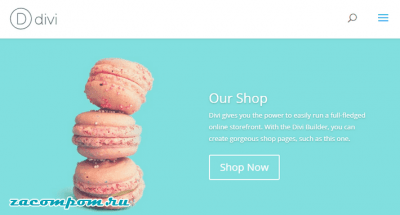 WooCommerce против Shopify: кто должен использовать каждую платформу WooCommerce против Shopify: кто должен использовать каждую платформу