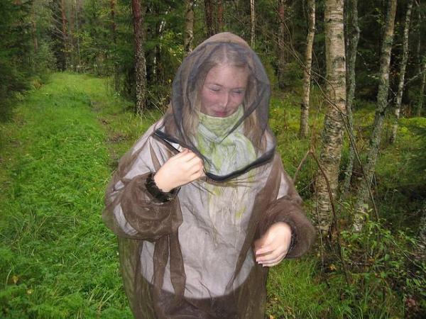 Чем опасны лосиные клещи и как защититься от них
