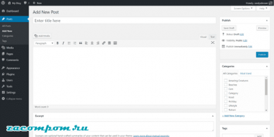 WordPress против других платформ CMS: как WordPress сочетается с остальными? WordPress против других платформ CMS: как WordPress сочетается с остальными?