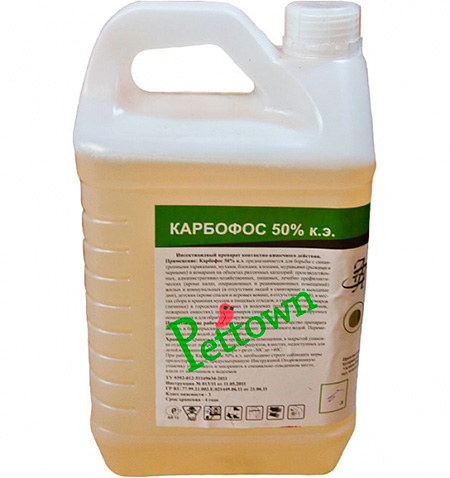 Карбофос и его применение для борьбы с домашними клопами Карбофос и его применение для борьбы с домашними клопами
