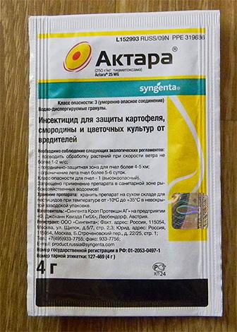 Подробно о садовых клопах Подробно о садовых клопах