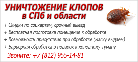 Аэрозоль от клопов Раптор Аэрозоль от клопов Раптор