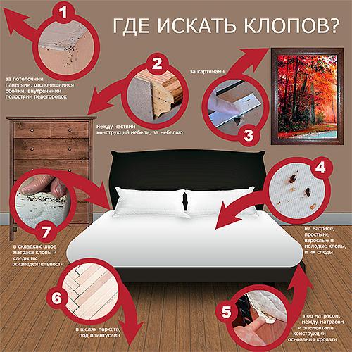 Какие могут быть причины появления клопов в квартире?