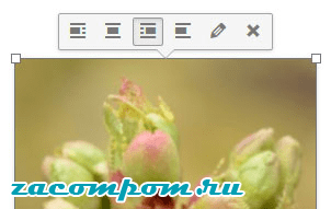 Добавление изображений в сообщения и на страницы в WordPress Добавление изображений в сообщения и на страницы в WordPress