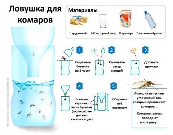 Простая ловушка для комаров из пластиковой бутылки Простая ловушка для комаров из пластиковой бутылки
