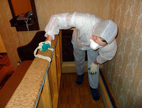 Дезинсекция помещений от тараканов – куда обращаться за обработкой? Дезинсекция помещений от тараканов – куда обращаться за обработкой?