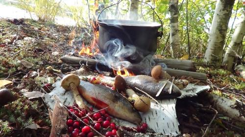 Рыбная «мешанка» Рыбная «мешанка»