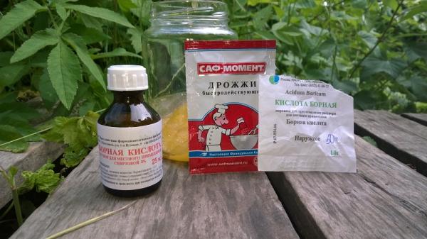 Как вывести борной кислотой муравьев в квартире Как вывести борной кислотой муравьев в квартире
