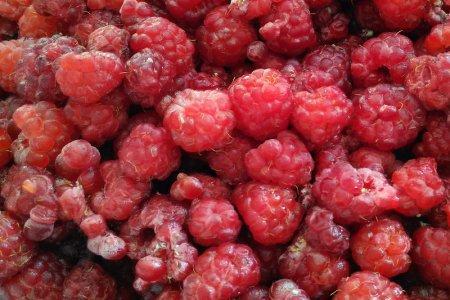 Названы продукты, которые помогают сохранить здоровье печени Названы продукты, которые помогают сохранить здоровье печени