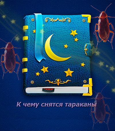 К чему могут сниться тараканы?.. К чему могут сниться тараканы?..