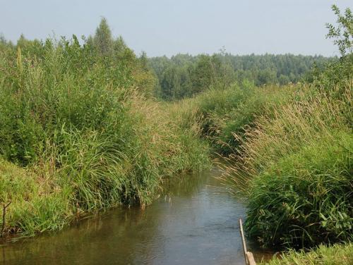 Нестандартная ловля мирных хищников