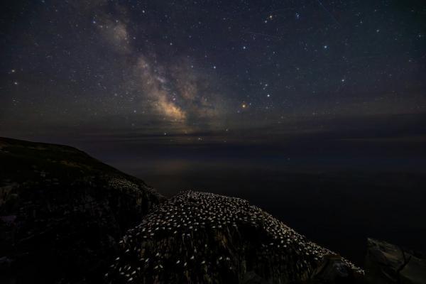 Конкурс Audubon Photography Awards 2025 Конкурс Audubon Photography Awards 2025