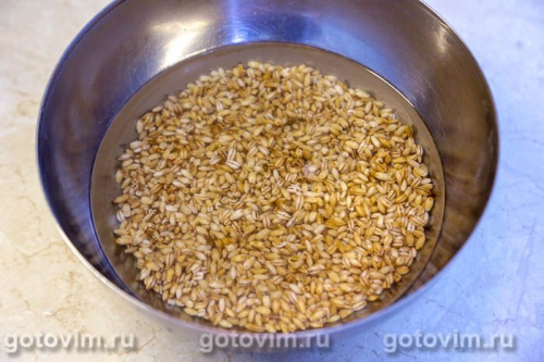 Грибной суп с лисичками и перловкой 