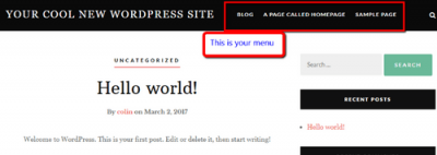 Установка и настройка темы WordPress Установка и настройка темы WordPress