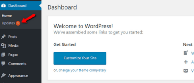 Установка и настройка темы WordPress Установка и настройка темы WordPress