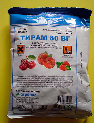 Порошки для уничтожения тараканов: обзор эффективных средств Порошки для уничтожения тараканов: обзор эффективных средств
