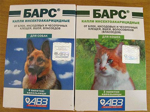Чего больше всего боятся блохи Чего больше всего боятся блохи