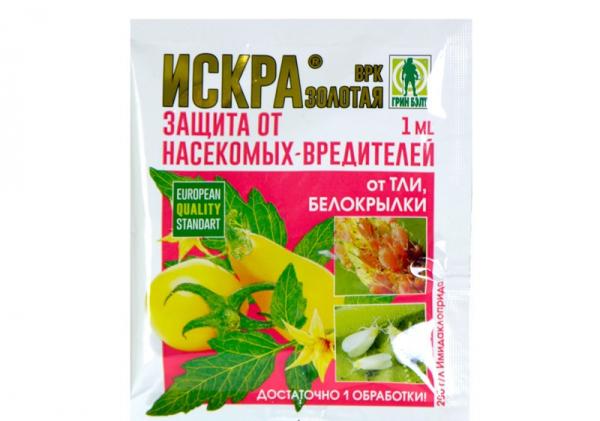 Избавляемся от белокрылки на капусте Избавляемся от белокрылки на капусте
