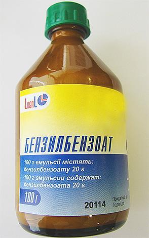 Чем обработать квартиру для уничтожения блох: очищаем свой дом самостоятельно Чем обработать квартиру для уничтожения блох: очищаем свой дом самостоятельно