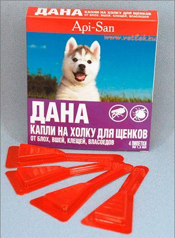 Наиболее эффективные капли от блох для собаки и щенка