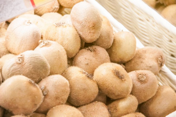Какой продукт есть для упругой кожи: не коллаген, а его предшественник Какой продукт есть для упругой кожи: не коллаген, а его предшественник