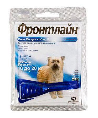 Наиболее эффективные капли от блох для собаки и щенка