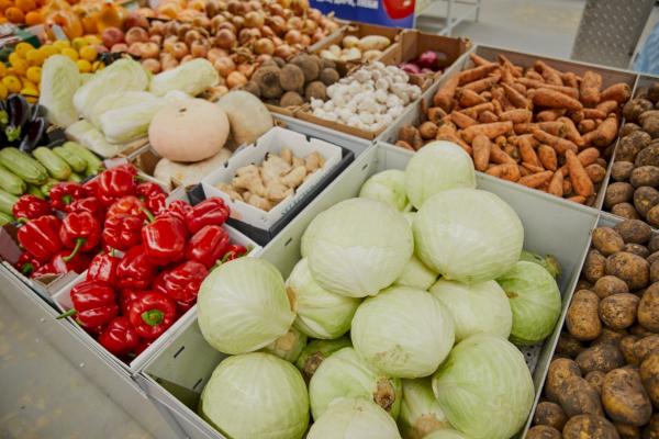 Росимущество выставило на продажу краснодарский агрокомбинат «Тепличный» за 2,8 млрд рублей Росимущество выставило на продажу краснодарский агрокомбинат «Тепличный» за 2,8 млрд рублей