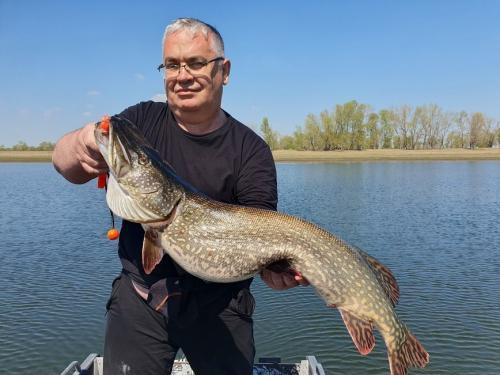 Жерех, спиннинг и апрель