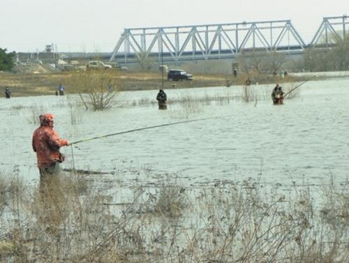 Окунь весной на мормышку