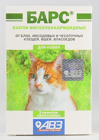 Бывают ли у кошек вши и как вывести мелких паразитов из шерсти питомца Бывают ли у кошек вши и как вывести мелких паразитов из шерсти питомца